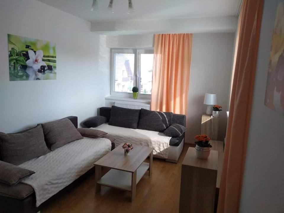 Apartman Naomi E12 Nová Lesná 外观 照片